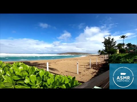 Beach View in Isabela Puerto Rico | Ocean Ambience | Relaxing ASMR Nature Sounds