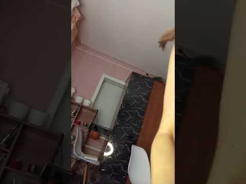 Лучший момент трансляции #anime #видосыоткота #humour #прикольныекоты #humor #веселыекоты #cosplay