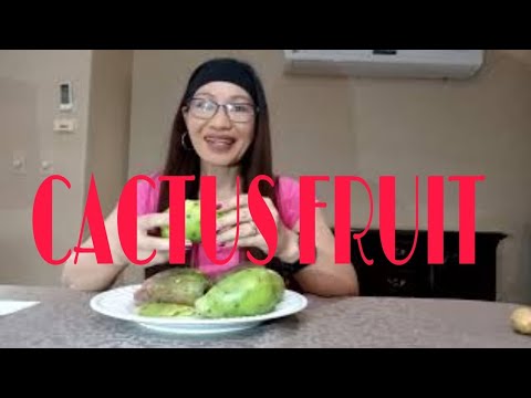 HOW TO EAT CACTUS FRUIT(PRICKLY PEAR):Igorot in Denver Colorado 🇺🇸