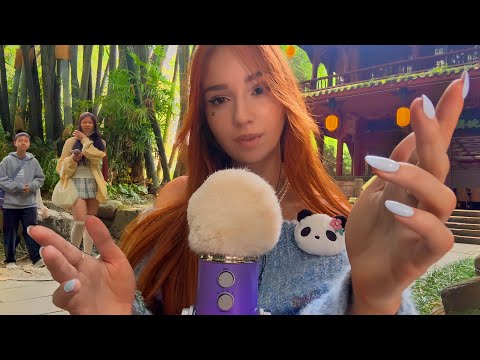 ASMR : JE T'ENDORS, MAIS TU ES EN CHINE
