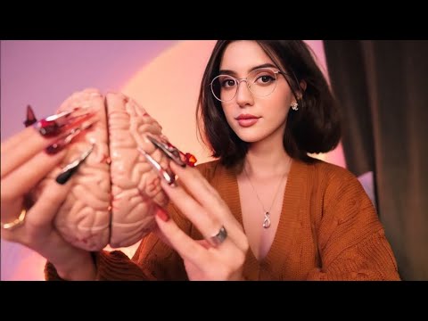 ASMR Brain Melting Triggers to Help You Sleep