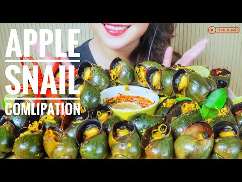 ASMR APPLE SNAIL COMPILATIONS EATING SOUNDS | LINH-ASMR