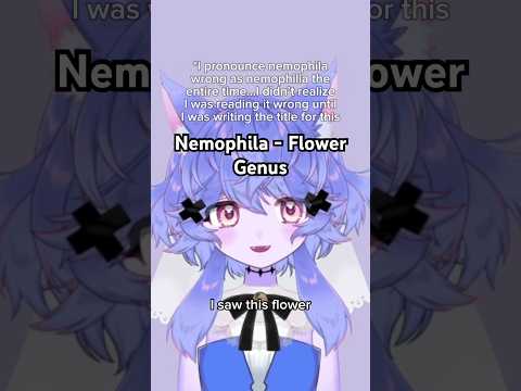 Nemophila, the name is so pretty!