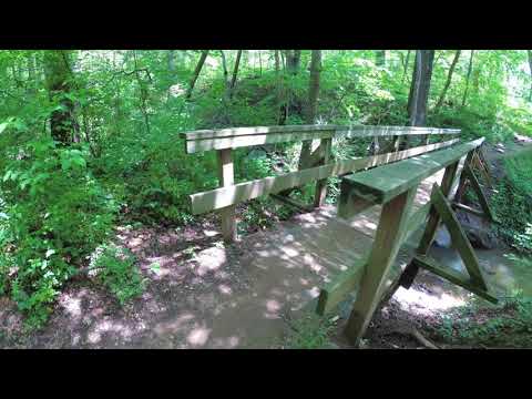 ASMR Hiking Binaural Hiking Pretty Spring Hike with City Sounds