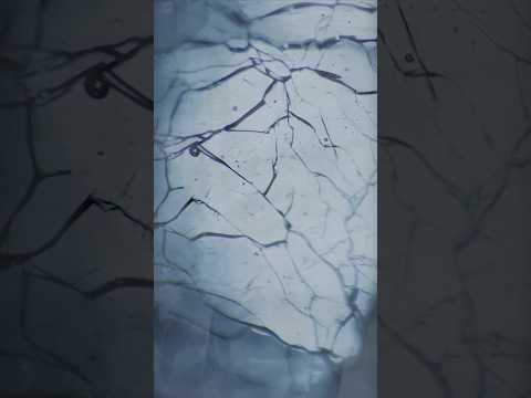 ❄️ Chilly Abstract Layered Soundscape to Freeze Your Brain 🥶