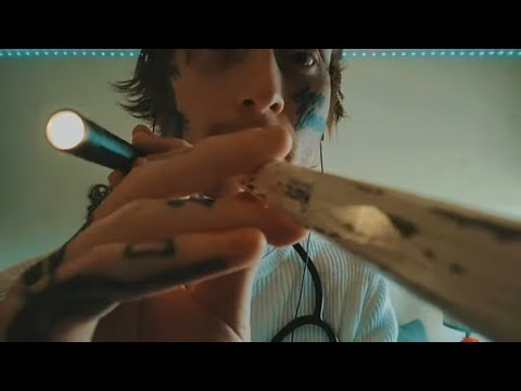 ASMR | Cranial Nerve Exam