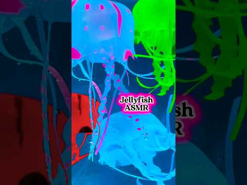 Jellyfish ASMR sounds to help you sleep 🪼🪼 Visual tingles & relaxing sounds! #jellyfish #asmr