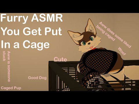 [Furry ASMR] You Get Put In a Cage.