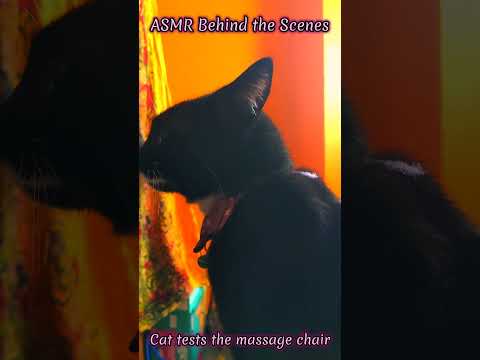 ASMR Behind the scenes: My cat tests the massage chair 🐈‍⬛💆‍♀️💆‍♀️