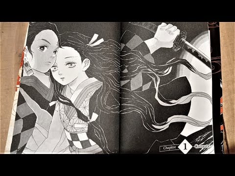 Lecture de Demon Slayer (Chapitre 1) - ASMR Français