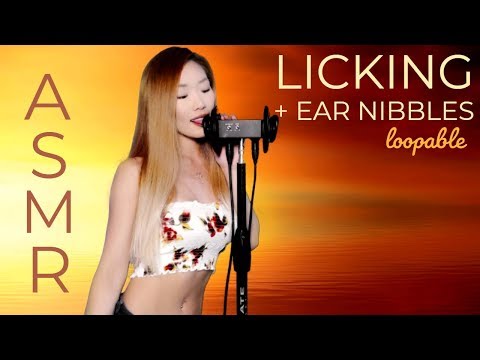 ASMR LICKING + EAR NIBBLES 👅 Loopable, No Talking