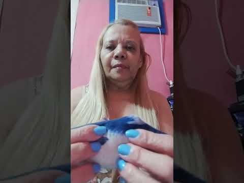ASMR Short # sons do peixinho.  🥱🥱