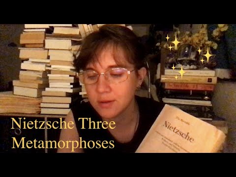 ASMR Nietzsche Three Metamorphoses | Soft Spoken Reading Fire Sounds