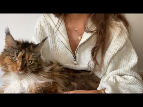 ASMR With My Cat | Purring | Soothing Fur Scratching