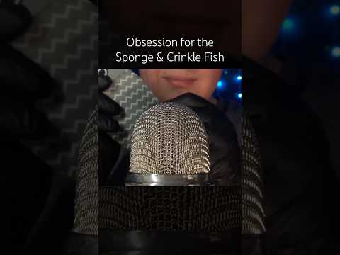 Sponge & Crinkle Fish! 🩶🧽 #asmr