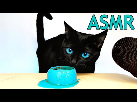 ASMR Mukbang | Black Cat Eating Blue Food 🐈‍⬛💙
