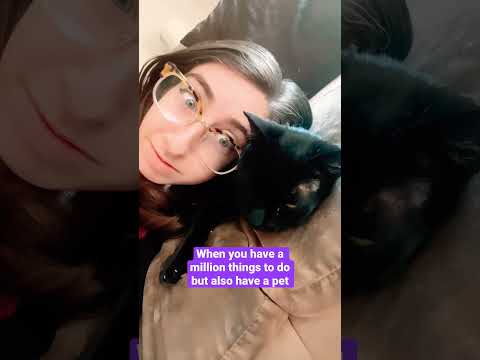 When you’re SUPER busy but also have a cat #shorts #stuck #jaredleto