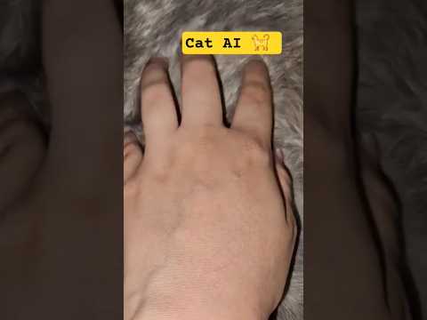 AI Cat Asmr