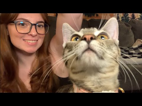 ASMR - I Got A Kitten! 🐈‍⬛🥹