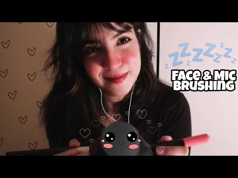 ASMR Face Brushing & Mic Brushing 🖌️💤