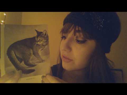 Lo-Fi ASMR Vintage Cat Book, Page Turning, Ear-to-Ear Storytelling