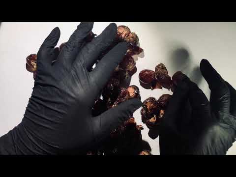 LATEX GLOVES ღ  STICKY STUFF ღ PURE RELAXING 🤍  OH SO CLEAN ヅ  [[ASMR]]