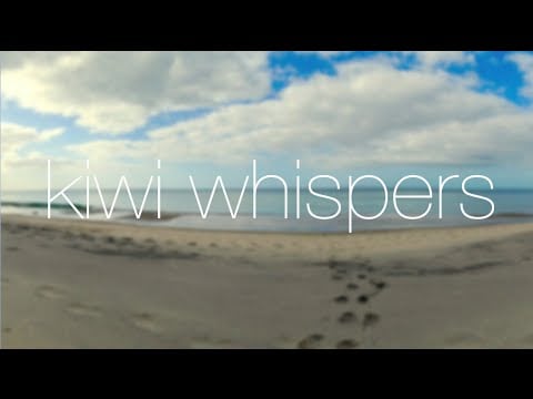 KiwiWhispers Ramble Update | Blah Blah Yada Yada ASMR