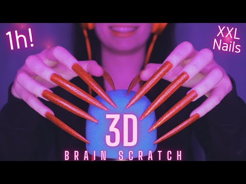 Asmr Mic Scratching - Brain Scratching | Brain Melting Asmr No Talking for Sleep with Long Nails 1H