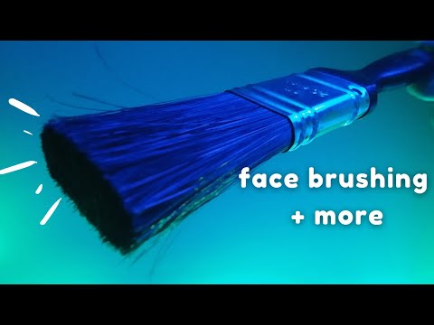 ASMR Lo-Fi Face Brushing, Face Tracing, Stippling, Repeating Brush ETC - Whispering