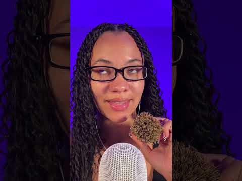 ASMR with 3 different brushes… which was your favorite? #asmr #tingles #shorts