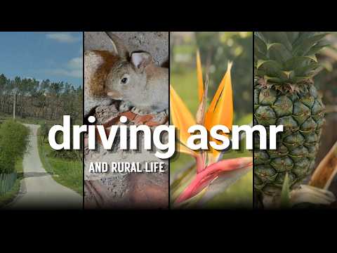 ASMR Relaxing Countryside Drive | Visiting My Parents' Farm | Rural Life
