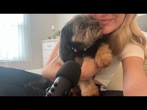 ASMR With My Dog Stella ! 🐶🐶 (scratching, petting, brushing)