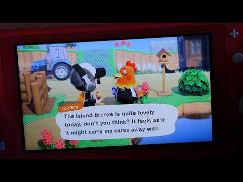 ASMR Whisper | Animal Crossing ♡ Island Tour