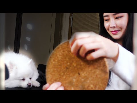 ASMR 했더니 멍뭉이 딥슬립 😴