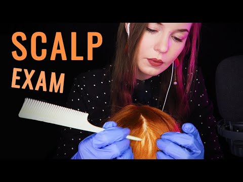 100% SENSITIVITY ASMR Lice Check & Scalp Check + LATEX GLOVES SOUNDS