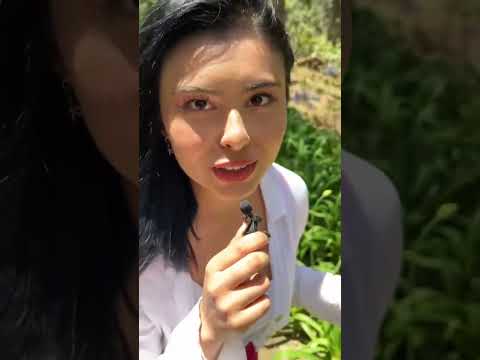 ASMR en la naturaleza 2.0 🌿 #vicoasmr #asmr #asmrsounds #fyp #viral #parati