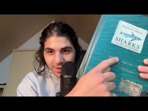 ASMR my favorite childhood book (soft spoken)