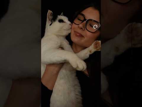 cat ASMR #asmr #tingleexperience #asmrvideos #feelthetingle #asmrtriggers #tinglesensation