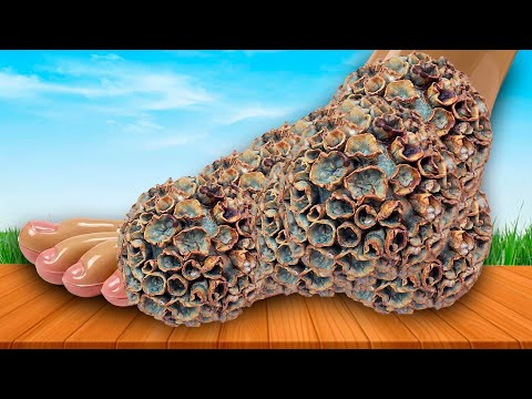 ASMR Foot Spa | ASMR Relaxing & Satisfying Sound For Mind Freshing