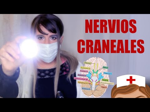 ASMR en español ⚕️  RP Nervios Craneales Dra. Kina