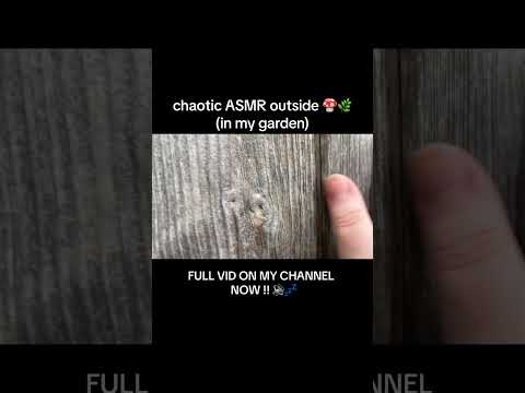 chaotic ASMR outdoors (preview of new full vid)💤 #asmr #asmrvideo  #naturesounds #relaxing #tingles