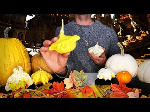 [ASMR] NICEST Pumpkin Salesman in Hogsmeade 🎃 | Harry Potter Roleplay, Fast and Aggressive Tapping 🎃