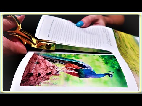 ASMR: Cutting and Trimming Pictures Out Of Magazines - Page Turning - Scissors - Paper- No Talking