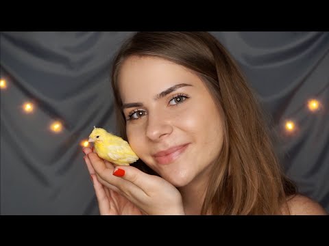 ASMR 🐥 Mit Meinen Kanarienvogel Babys (german/deutsch)