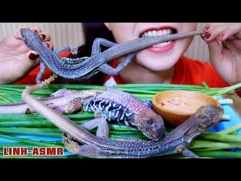 ASMR STEAMED SAND IGUANA (EXOTIC FOOD eating sounds)|LINH-ASMR