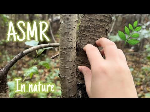 ASMR In nature | Lo-Fi tapping and scratching sounds 