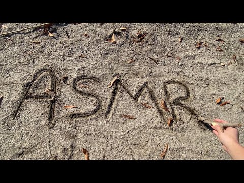 ASMR: Outdoor Camera Tapping & Tracing 🌲🤚