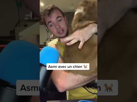 ASMR AVEC MON CHIEN
