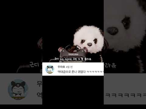 판다가 ASMR