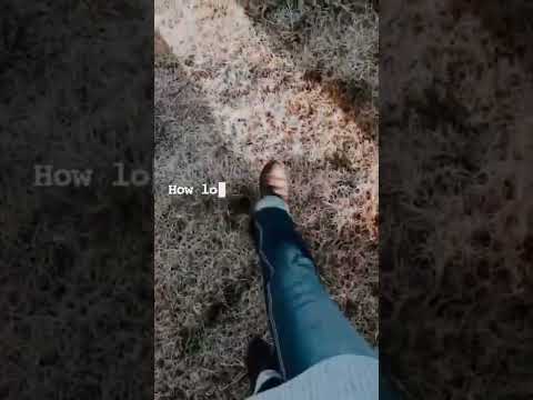 Reverie ~ ASMR Poetry